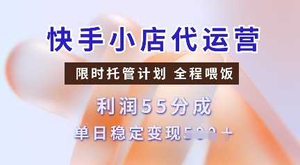 快手小店代运营，限时托管计划，收益55分，单日稳定变现多张【揭秘】-立业有术