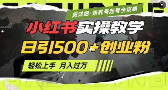 2月小红书最新日引500+创业粉实操教学【超详细】小白轻松上手，月入1W+，附小红书养号起号SOP-立业有术