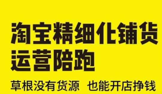 淘宝精细化铺货运营陪跑(部分更新至2025)，草根没有货源 也能开店挣钱-立业有术
