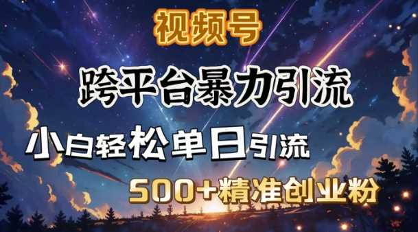 跨平台暴力引流，私域完美闭环，日引500+精准创业粉-立业有术