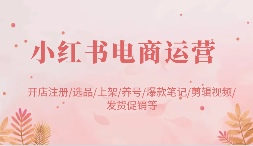 小红书电商运营：开店注册/选品/上架/养号/爆款笔记/剪辑视频/发货促销等-立业有术