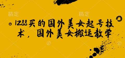 1288买的国外美女起号技术，国外美女搬运教学-立业有术