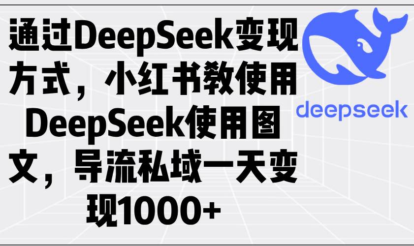 （14179期）通过DeepSeek变现方式，小红书教使用DeepSeek图文，导流私域一天变现1000+-立业有术