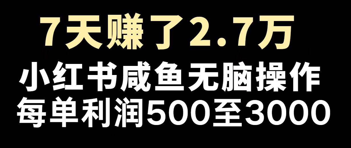 （14183期）最赚钱项目之一，2025爆火，逆风翻盘！-立业有术
