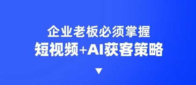 企业短视频AI获客霸屏流量课，6步短视频+AI突围法，3大霸屏抢客策略-立业有术