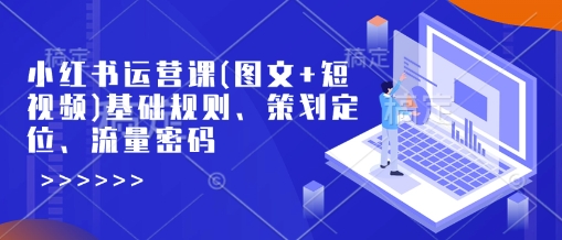 小红书运营课(图文+短视频)基础规则、策划定位、流量密码-立业有术
