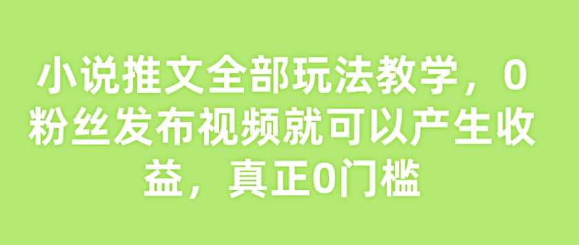 小说推文全部玩法教学，0粉丝发布视频就可以产生收益，真正0门槛-立业有术
