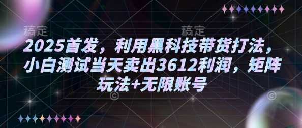 2025首发，利用黑科技带货打法，小白测试当天卖出3612利润，矩阵玩法+无限账号【揭秘】-立业有术