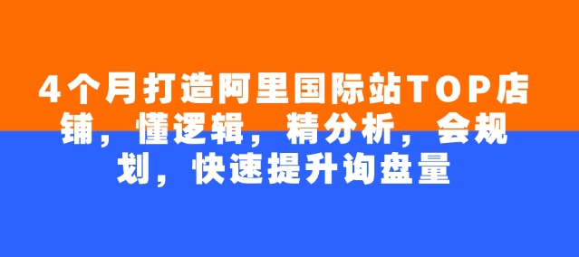 4个月打造阿里国际站TOP店铺，懂逻辑，精分析，会规划，快速提升询盘量-立业有术