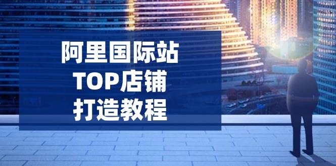 （14269期）阿里国际站TOP店铺打造教程：涵盖平台到高阶，解决运营难题，提升询盘-立业有术