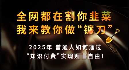 知识付费如何做到月入过W+，2025我来教你做“镰刀”【揭秘】-立业有术