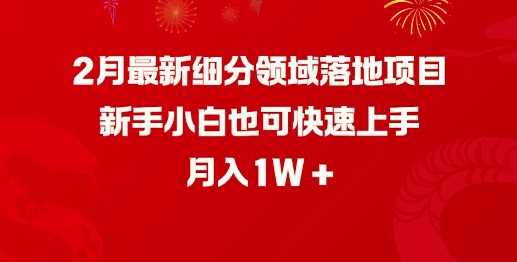 2月最新细分领域落地项目，新手小白也可快速上手，月入1W-立业有术