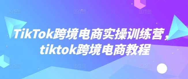 TikTok跨境电商实操训练营，tiktok跨境电商教程-立业有术