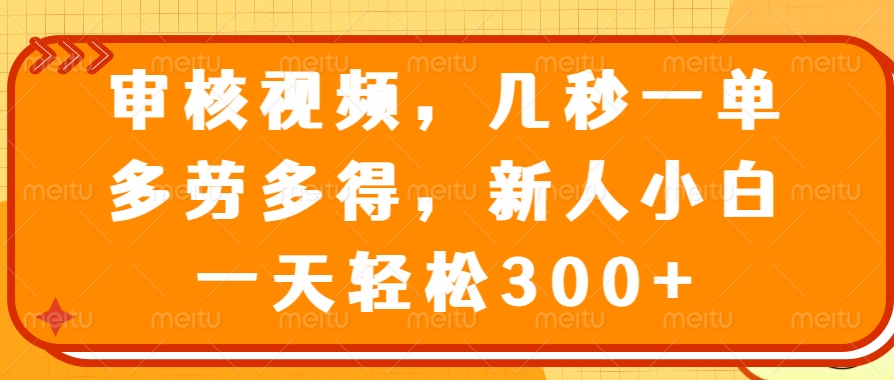 （14294期）审核视频，几秒一单，多劳多得，新人小白一天轻松300+-立业有术