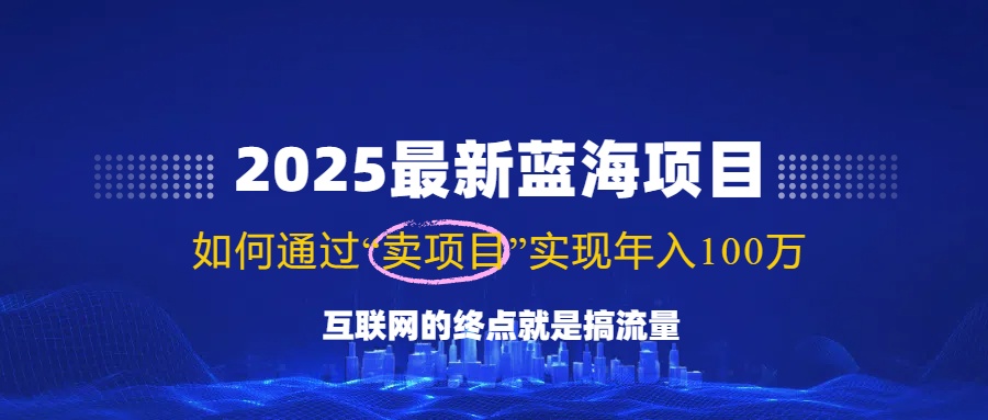 （14305期）2025最新蓝海项目，零门槛轻松复制，月入10万+，新手也能操作！-立业有术