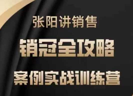 张阳讲销售实战训练营，​案例实战训练，销冠全攻略-立业有术