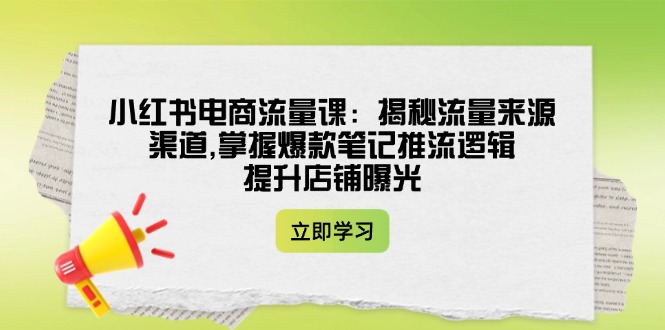 （14318期）小红书电商流量课：揭秘流量来源渠道,掌握爆款笔记推流逻辑,提升店铺曝光-立业有术