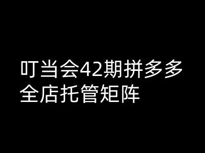 叮当会拼多多打爆班原创高阶技术第42期，拼多多全店托管矩阵-立业有术