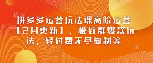 拼多多运营玩法课高阶运营【2月更新】，极致群爆款玩法，轻付费无尽复制等-立业有术