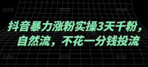 抖音暴力涨粉实操3天千粉，自然流，不花一分钱投流，实操经验分享-立业有术