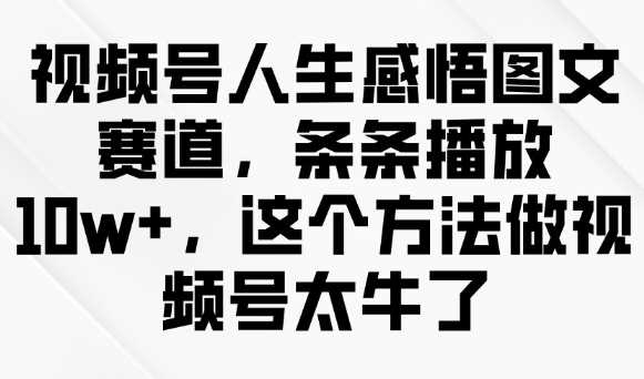 视频号人生感悟图文赛道，条条播放10w+，这个方法做视频号太牛了-立业有术