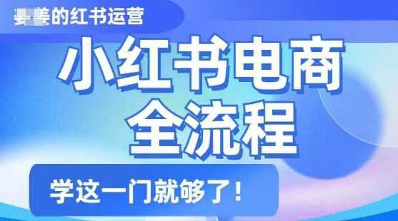 小红书电商全流程，精简易懂，从入门到精通，学这一门就够了-立业有术