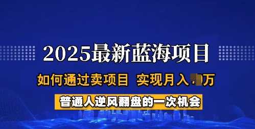 2025蓝海项目，普通人如何通过卖项目，实现月入过W，全过程【揭秘】-立业有术