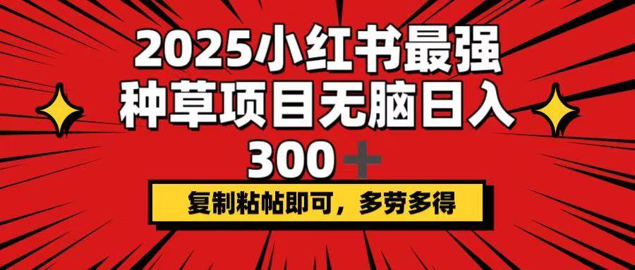 （14375期）2025小红书最强种草项目，无脑日入300+，复制粘帖即可，多劳多得-立业有术