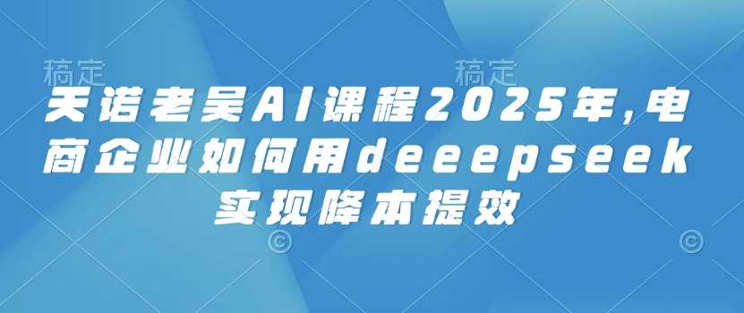 天诺老吴AI课程2025年，电商企业如何用deeepseek实现降本提效-立业有术