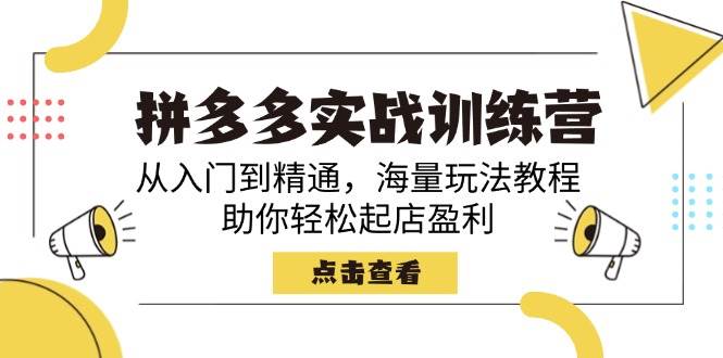 （14392期）拼多多实战训练营，从入门到精通，海量玩法教程，助你轻松起店盈利-立业有术