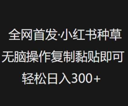 全网首发，小红书种草无脑操作，复制黏贴即可，轻松日入3张-立业有术