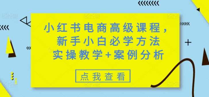 小红书电商高级课程，新手小白必学方法，实操教学+案例分析-立业有术