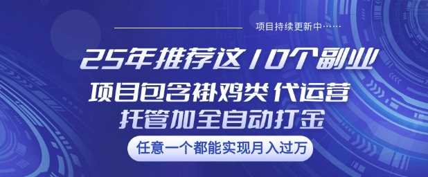 25年推荐这10个副业项目包含褂鸡类、代运营托管类、全自动打金类【揭秘】-立业有术