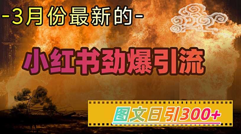 小红书超劲爆引流手段，图文日引300+轻松变现1W-立业有术