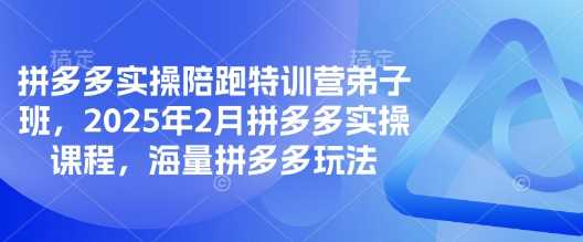 拼多多实操陪跑特训营弟子班，2025年2月拼多多实操课程，海量拼多多玩法-立业有术