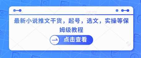 最新小说推文干货，起号，选文，实操等保姆级教程-立业有术