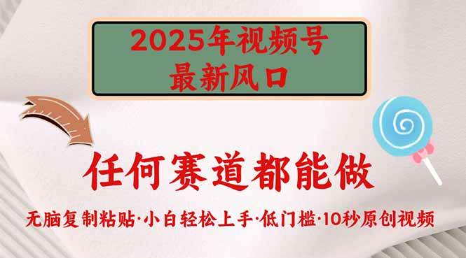 （14453期）2025年视频号新风口，低门槛只需要无脑执行-立业有术