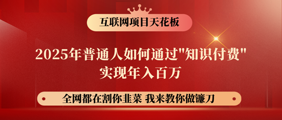 镰刀训练营超级IP合伙人，25年普通人如何通过“知识付费”年入百万！-立业有术