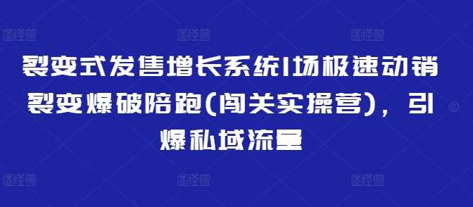 裂变式发售增长系统1场极速动销裂变爆破陪跑(闯关实操营)，引爆私域流量-立业有术