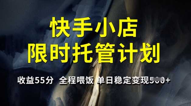 快手小店限时托管计划，收益55分，全程喂饭，单日稳定变现5张【揭秘】-立业有术