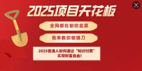 2025项目天花板普通人如何通过知识付费，实现财F自由【揭秘】-立业有术