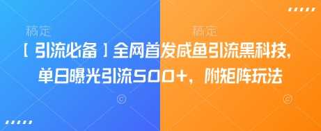 【引流必备】全网首发咸鱼引流黑科技，单日曝光引流500+，附矩阵玩法【揭秘】-立业有术