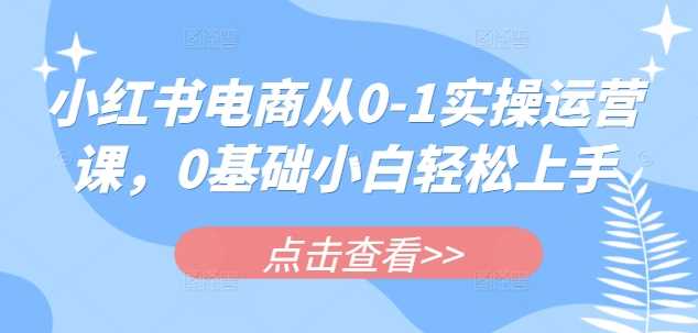 小红书电商从0-1实操运营课，0基础小白轻松上手-立业有术
