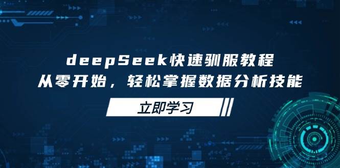 deepSeek快速驯服教程，从零开始，轻松掌握数据分析技能-立业有术