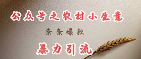 deepseek写农村小项目，条条爆款，暴力引流-立业有术