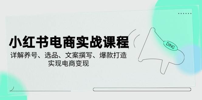 小红书电商实战课程，详解养号、选品、文案撰写、爆款打造，实现电商变现-立业有术