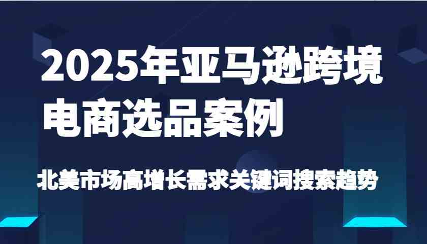2025年亚马逊跨境电商选品案例-北美市场高增长需求关键词搜索趋势（更新)-立业有术
