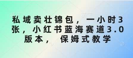 私域卖壮锦包，一小时3张，小红书蓝海赛道3.0版本， 保姆式教学-立业有术