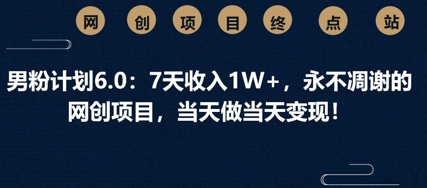 男粉计划6.0：7天收入1W+，永不凋谢的网创项目，当天做当天变现！-立业有术