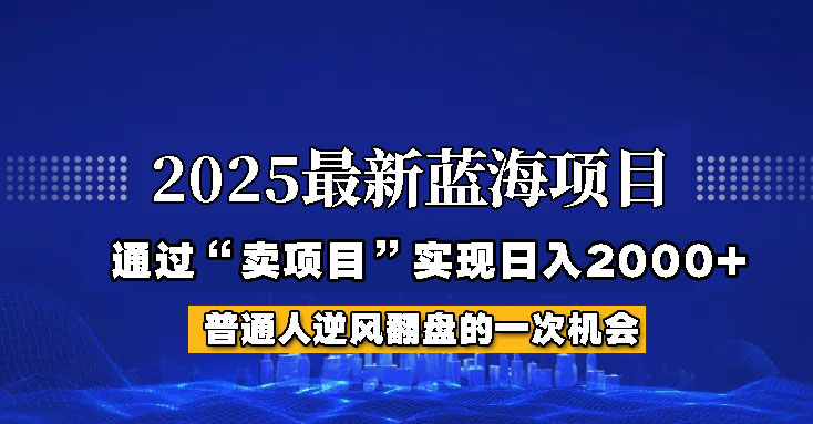 2025年蓝海项目，如何通过“网创项目”日入2000+-立业有术